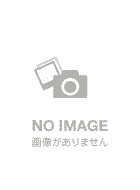 四女神オンライン CYBER DIMENSION NEPTUNE ロイヤルエディション特典ビジュアルブック