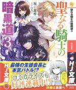 <b>作品内容:</b><br>世界を司る女神に見初められ聖騎士に選ばれながらも、とある理由から暗黒騎士を目指すため、故郷を離れた少年セイン。従者メリアと共に他国の学園に通うものの光魔法以外に適性が無く、闇魔法を使えないセインは暗黒魔改造制服を身に纏うただの変質者扱いされてしまう。同じく光の一族に生まれながらも火属性の魔法しか使えないためクラスで浮いていた少女アリシアに共感したセインは迷宮の奥に眠るという「聖剣」を探す冒険に協力する。しかし迷宮に待ちかまえていたのは想像を超える試練だった。